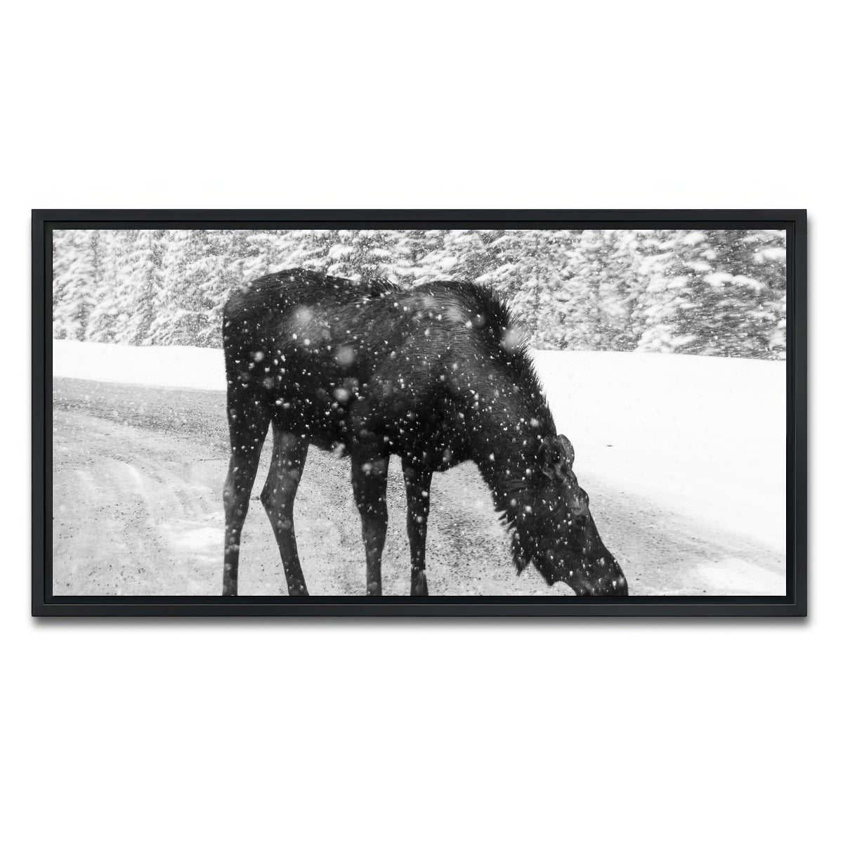 Moose Wall Art