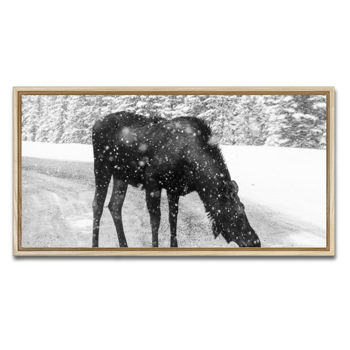 Moose Wall Art