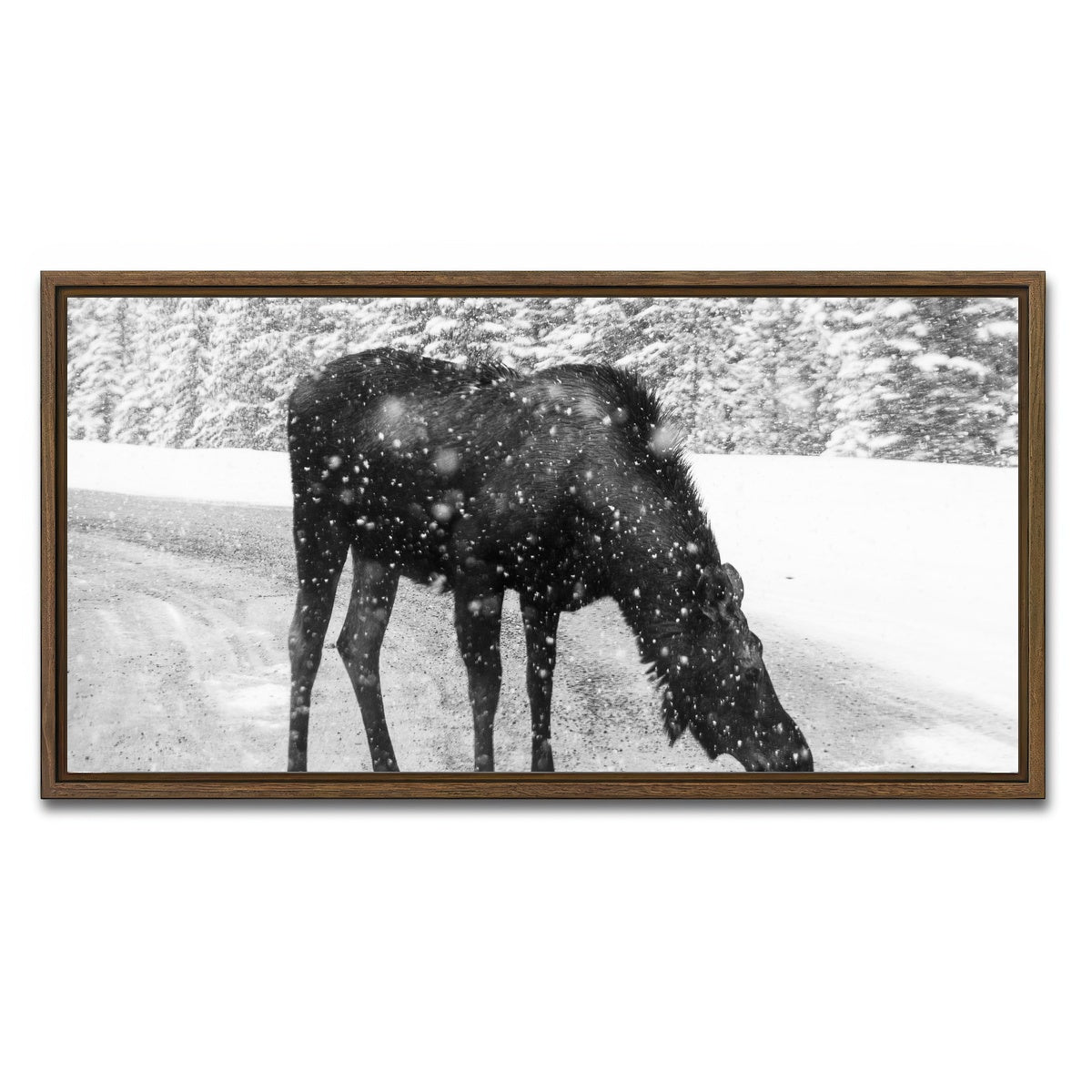 Moose Wall Art