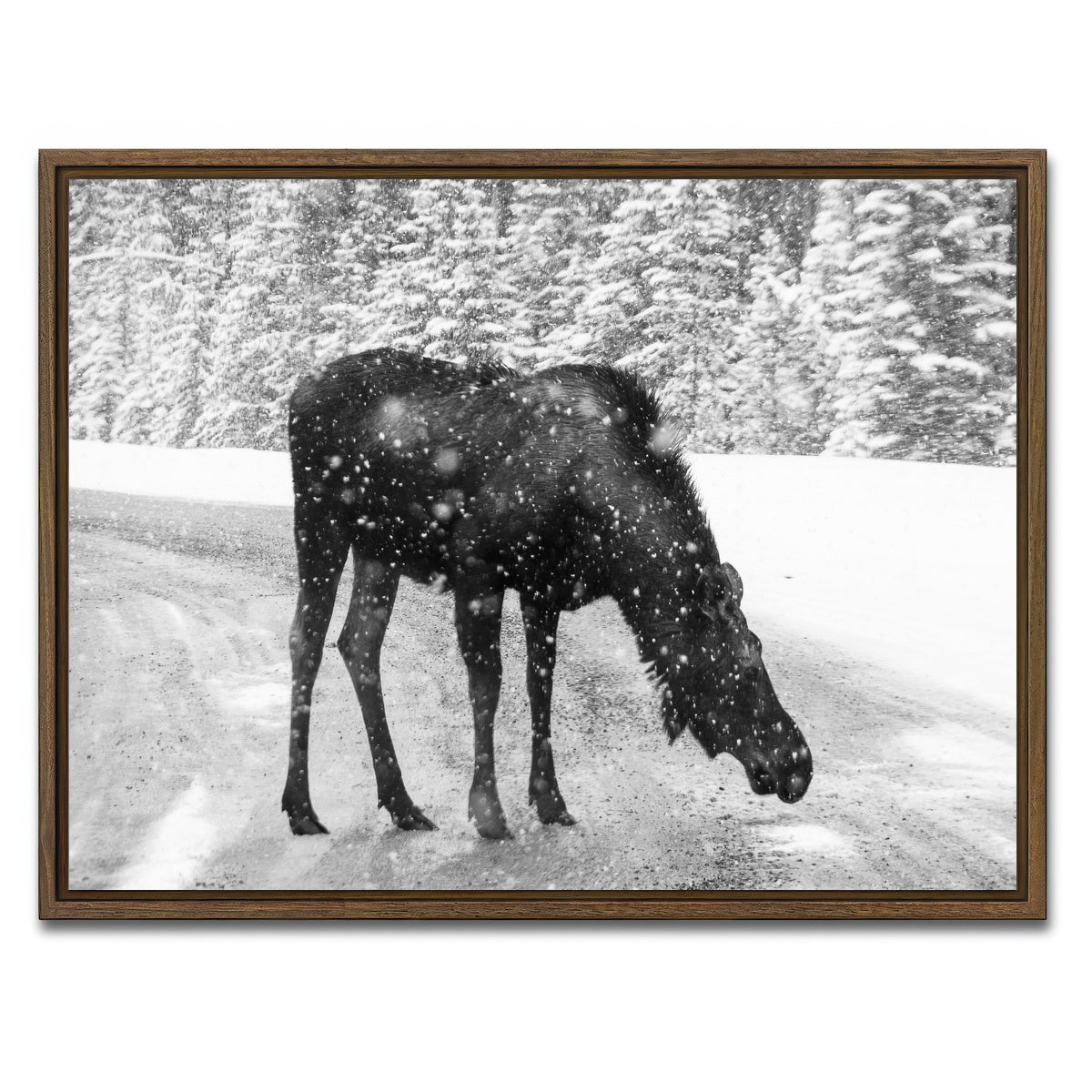 Moose Wall Art