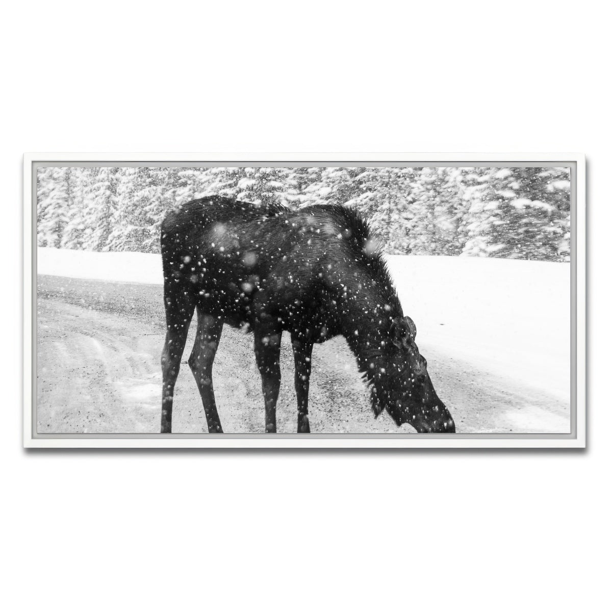 Moose Wall Art