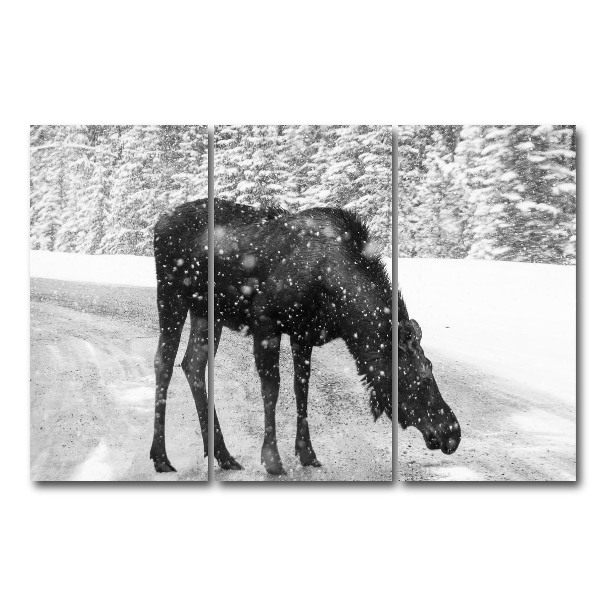 Moose Wall Art