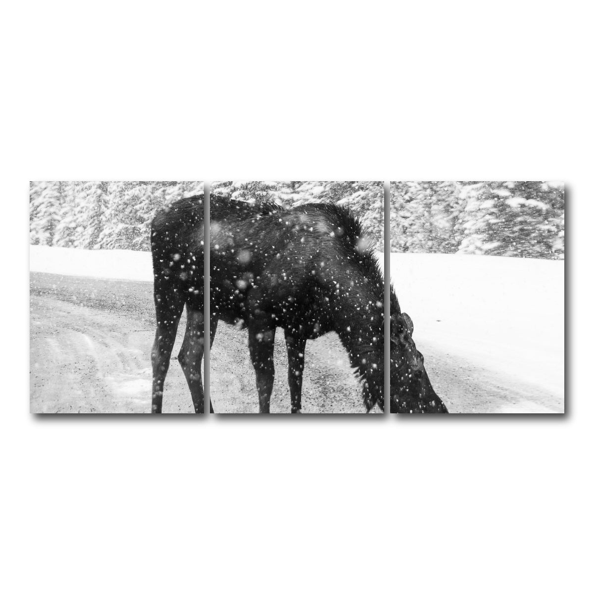 Moose Wall Art