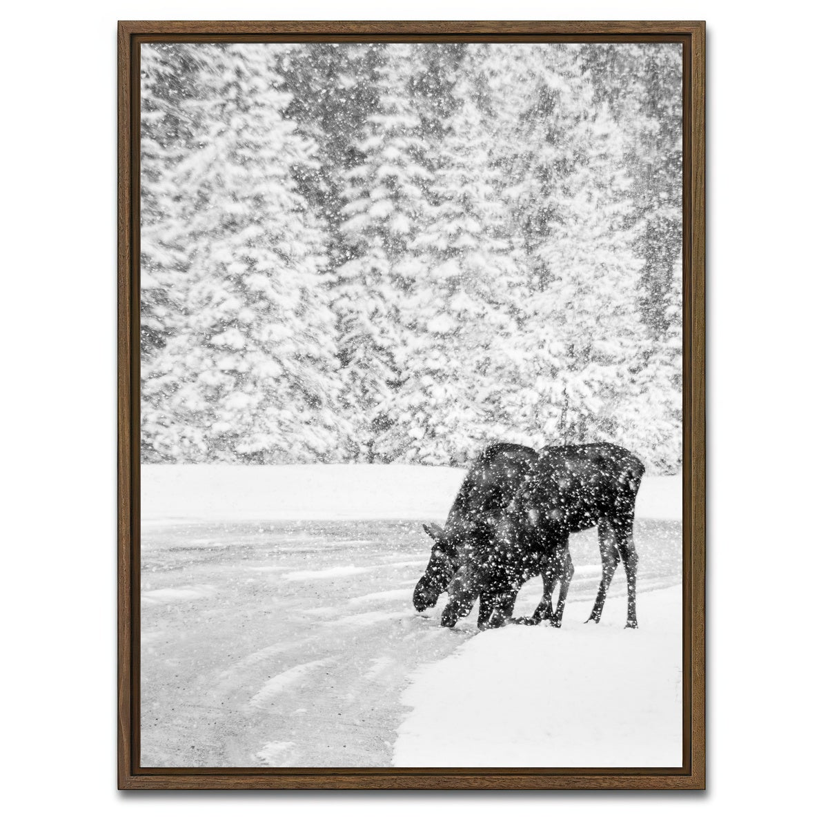 Mooses Wall Art
