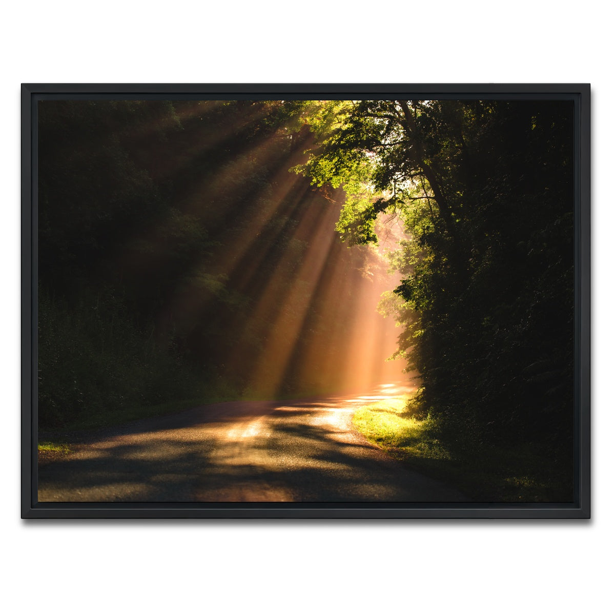 AUTO-MOCKUP WHITE | Morning Rays | 1 Piece | Black Framed Canvas | group=4x3