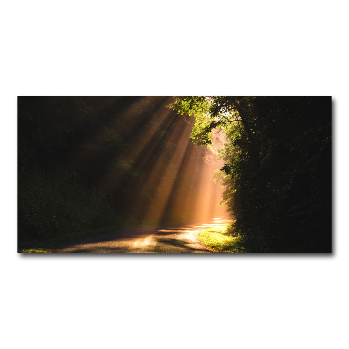 AUTO-MOCKUP WHITE | Morning Rays | 1 Piece | Gallery Wrap Canvas | group=2x1