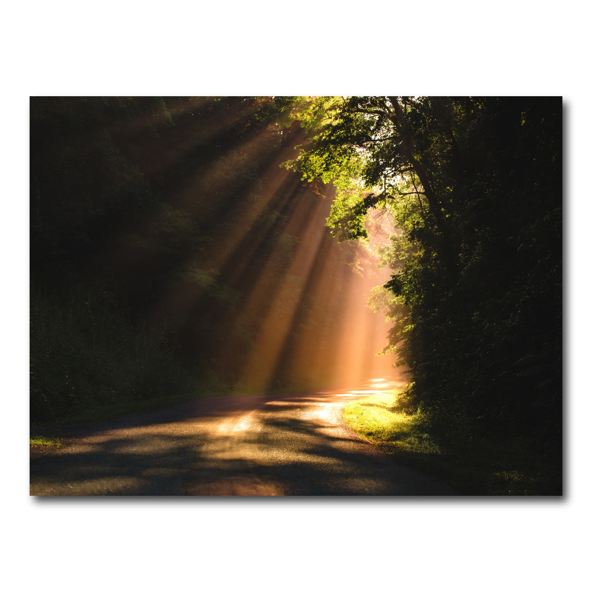 AUTO-MOCKUP WHITE | Morning Rays | 1 Piece | Gallery Wrap Canvas | group=4x3