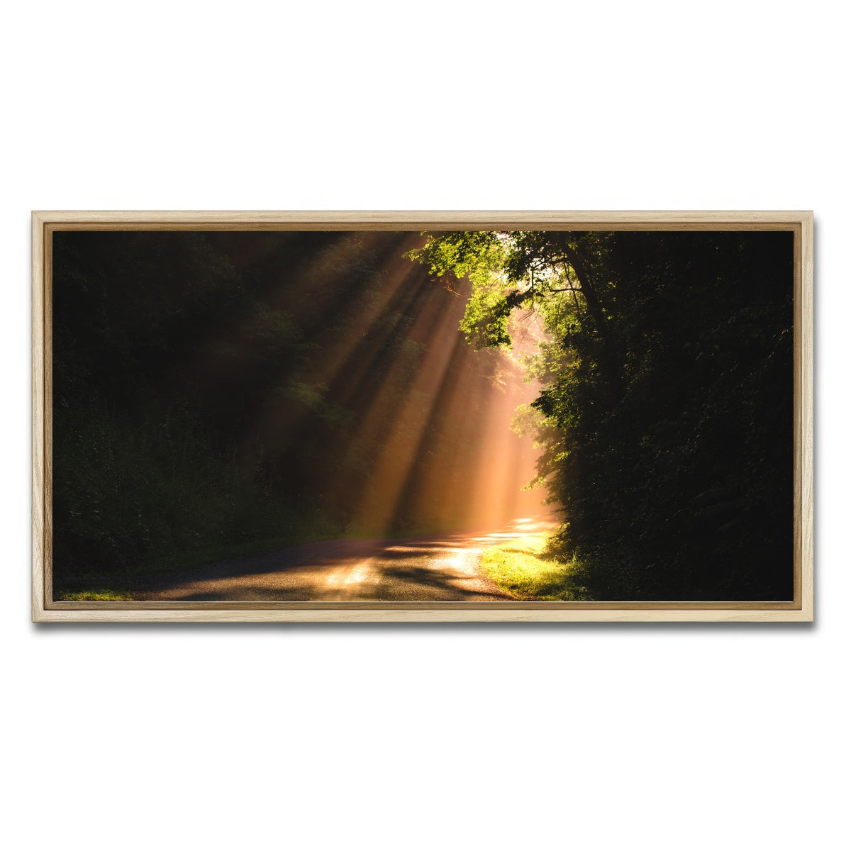 AUTO-MOCKUP WHITE | Morning Rays | 1 Piece | Natural Framed Canvas | group=2x1