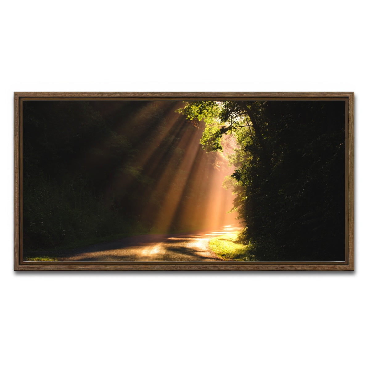 AUTO-MOCKUP WHITE | Morning Rays | 1 Piece | Walnut Framed Canvas | group=2x1