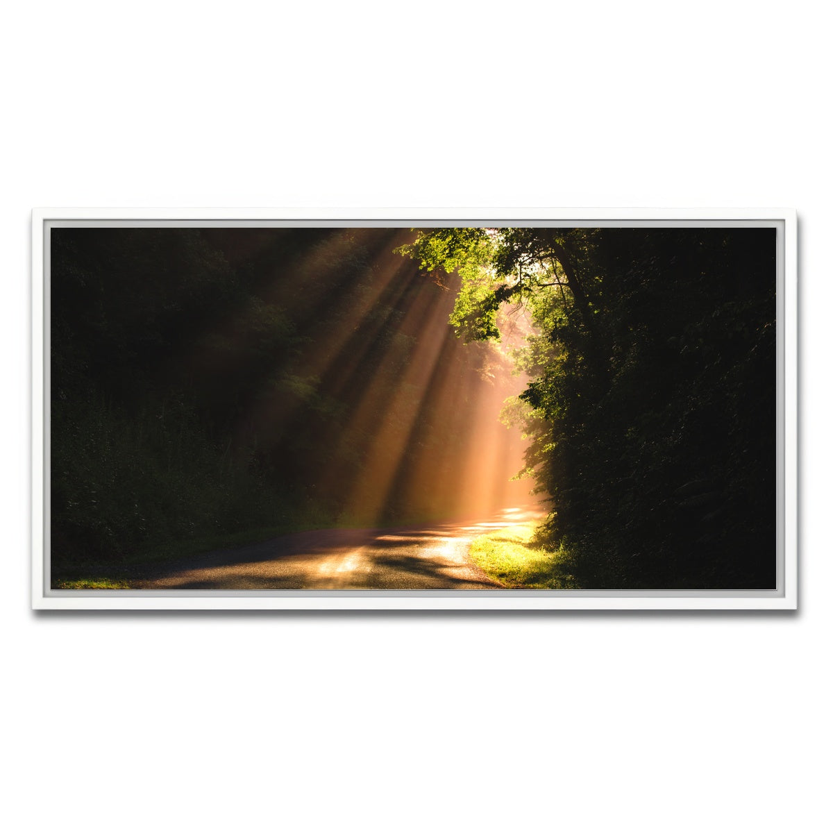 AUTO-MOCKUP WHITE | Morning Rays | 1 Piece | White Framed Canvas | group=2x1