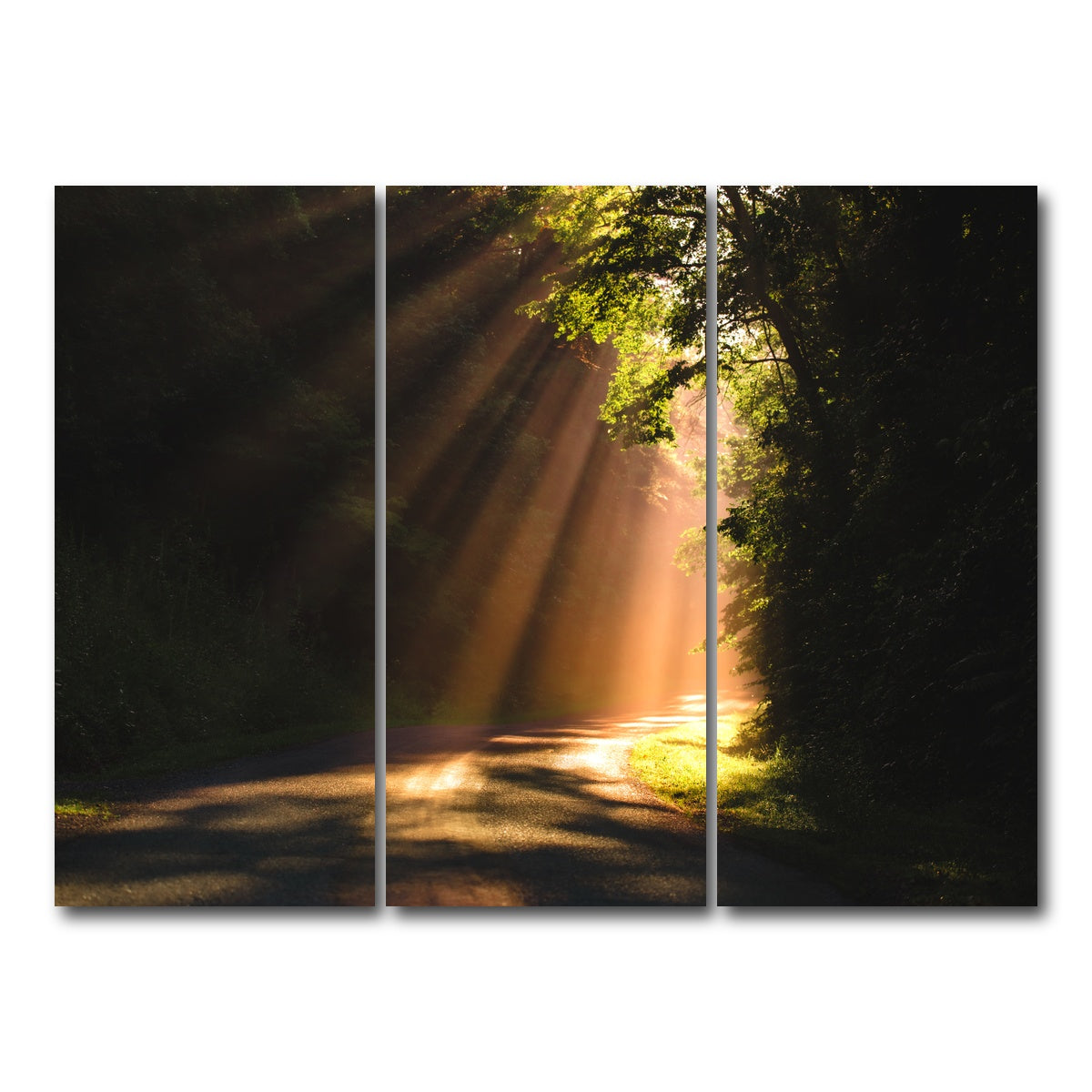 AUTO-MOCKUP WHITE | Morning Rays | 3 Piece | Gallery Wrap Canvas | group=8x18