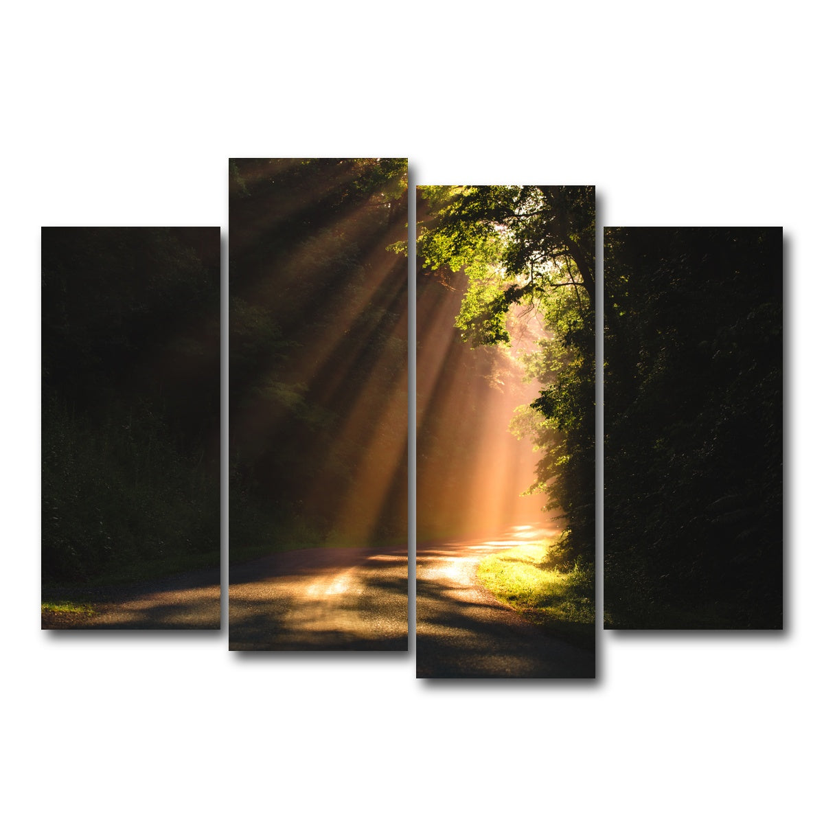 AUTO-MOCKUP WHITE | Morning Rays | 4 Piece | Gallery Wrap Canvas | group=4_normal