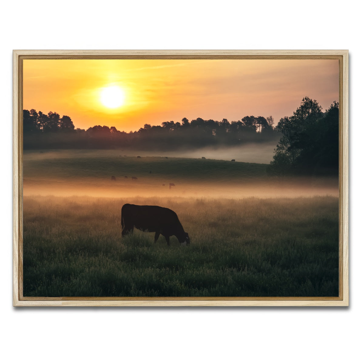 AUTO-MOCKUP WHITE | Morning Walks | 1 Piece | Natural Framed Canvas | group=4x3
