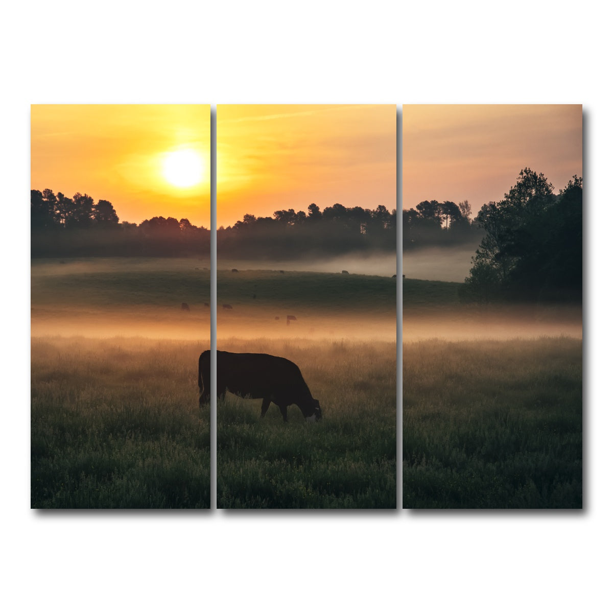 AUTO-MOCKUP WHITE | Morning Walks | 3 Piece | Gallery Wrap Canvas | group=8x18