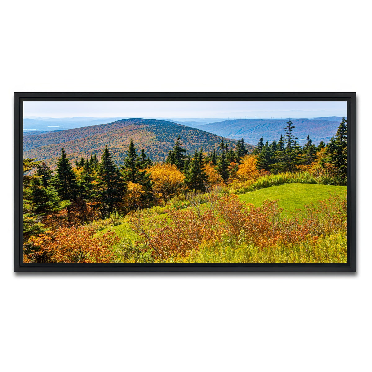 AUTO-MOCKUP WHITE | Mount Greylock Summit | 1 Piece | Black Framed Canvas | group=2x1