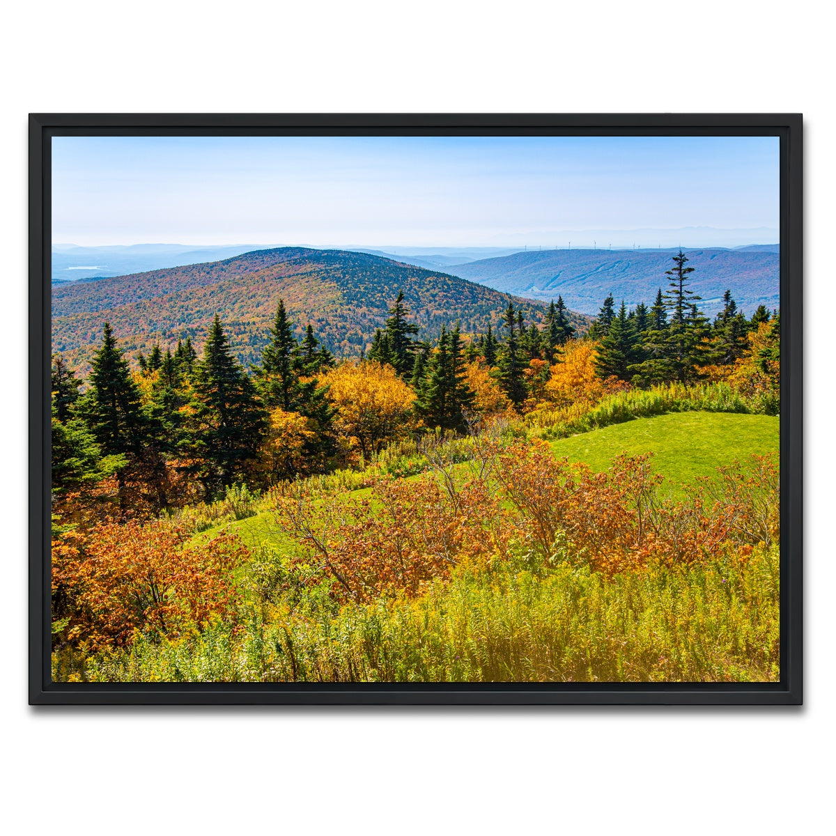 AUTO-MOCKUP WHITE | Mount Greylock Summit | 1 Piece | Black Framed Canvas | group=4x3