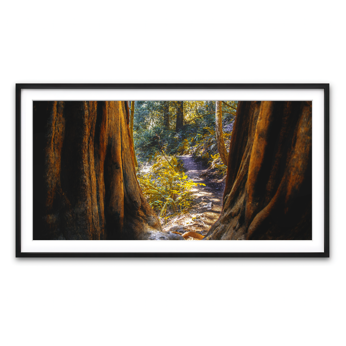 Framed Print 2x1 Black