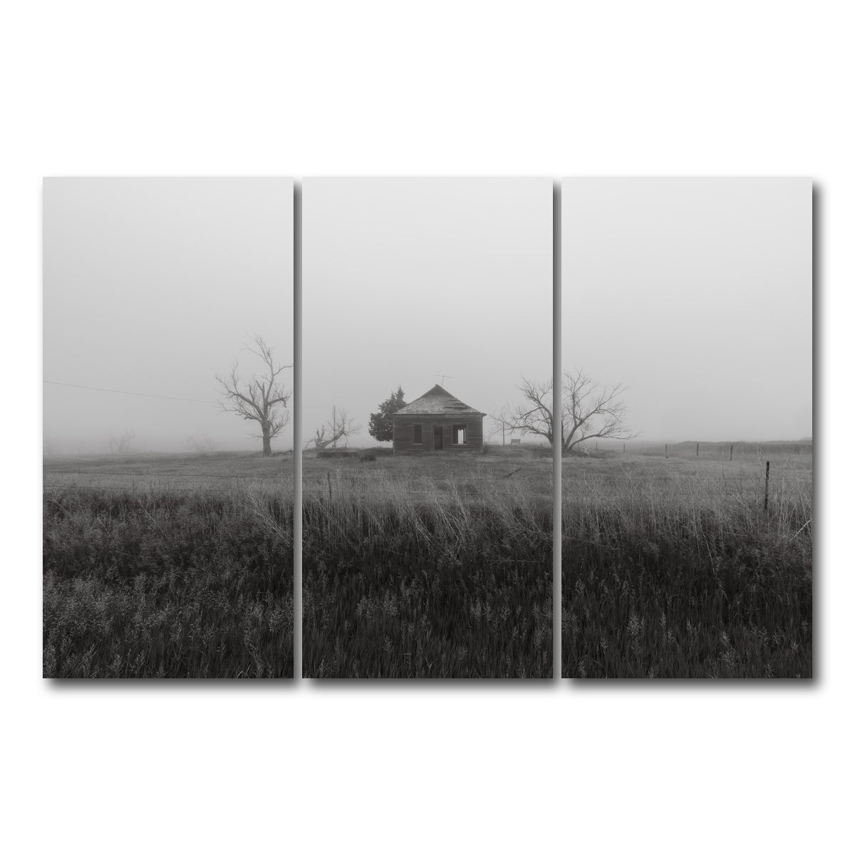 AUTO-MOCKUP WHITE | Nevermore | 3 Piece | Gallery Wrap Canvas | group=12x24