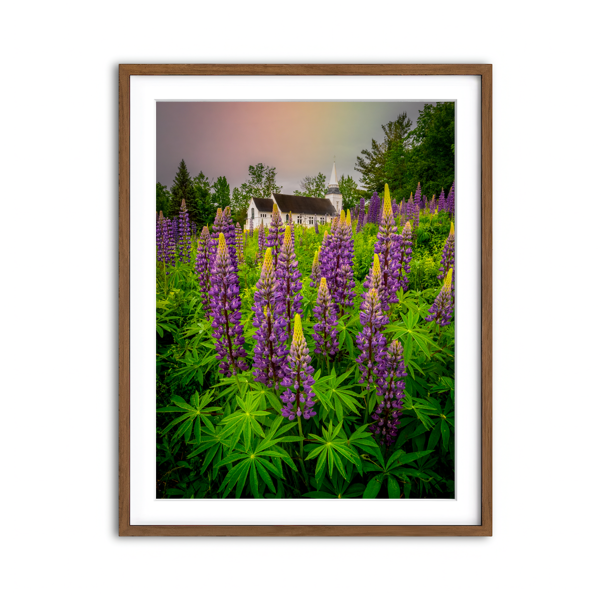 Framed Print 3x4 Walnut