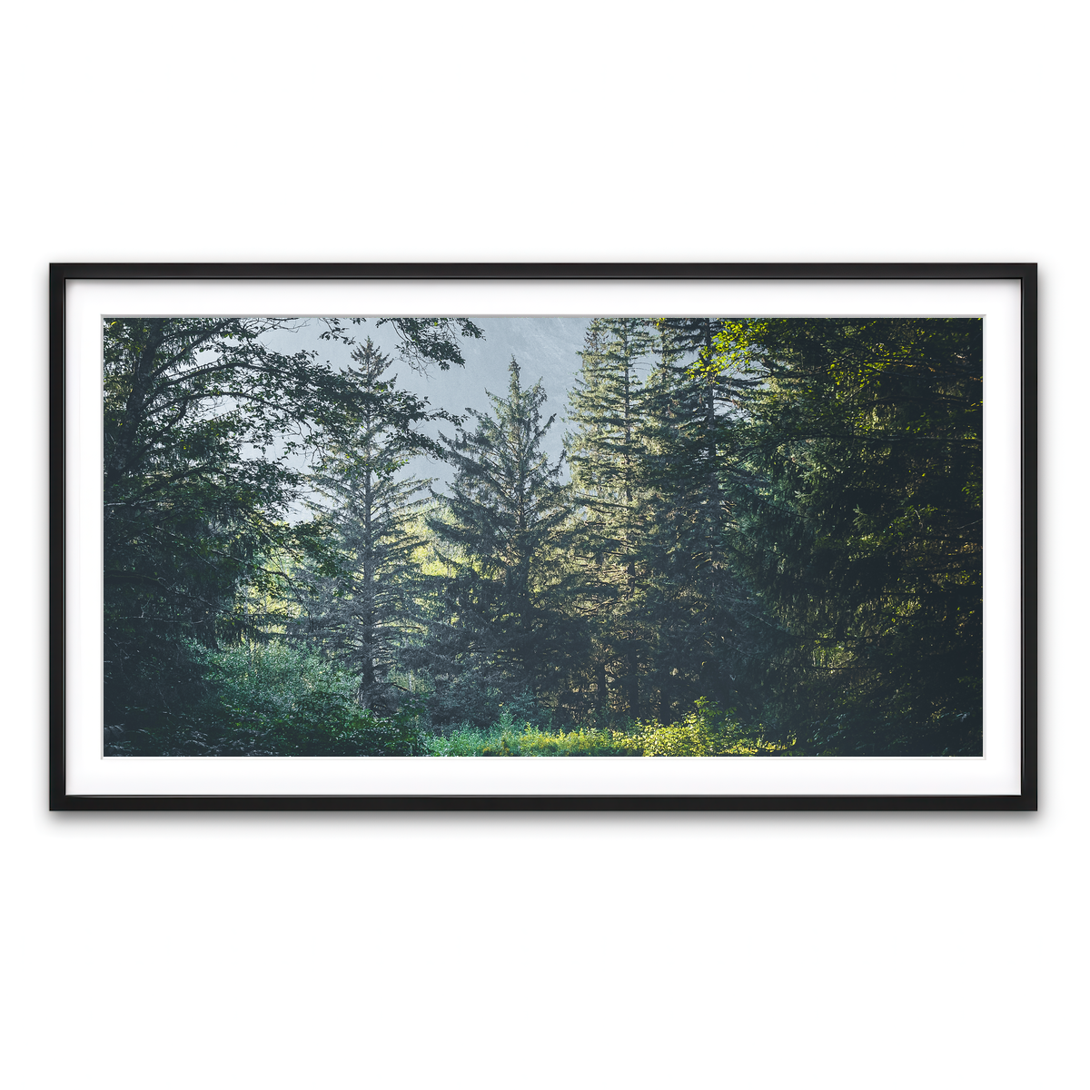 Overgrown Forest Path Wall Art