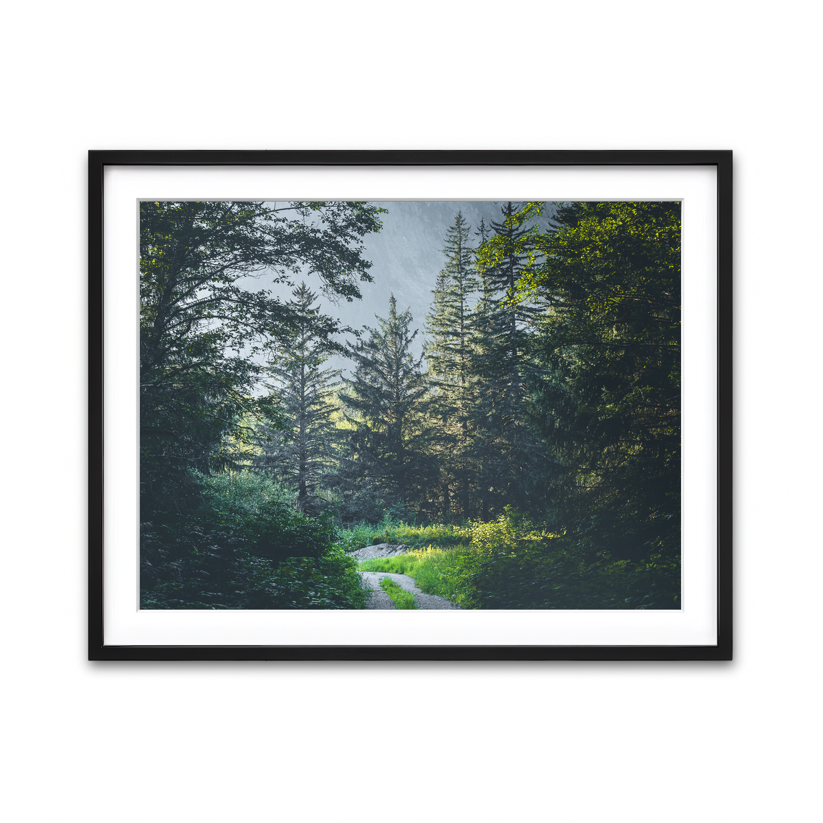 Overgrown Forest Path Wall Art