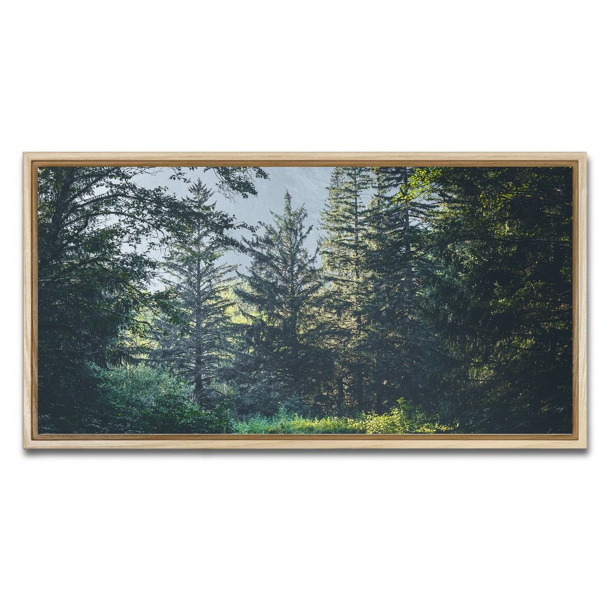 Overgrown Forest Path Wall Art