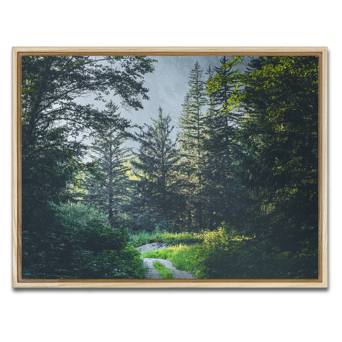 Overgrown Forest Path Wall Art