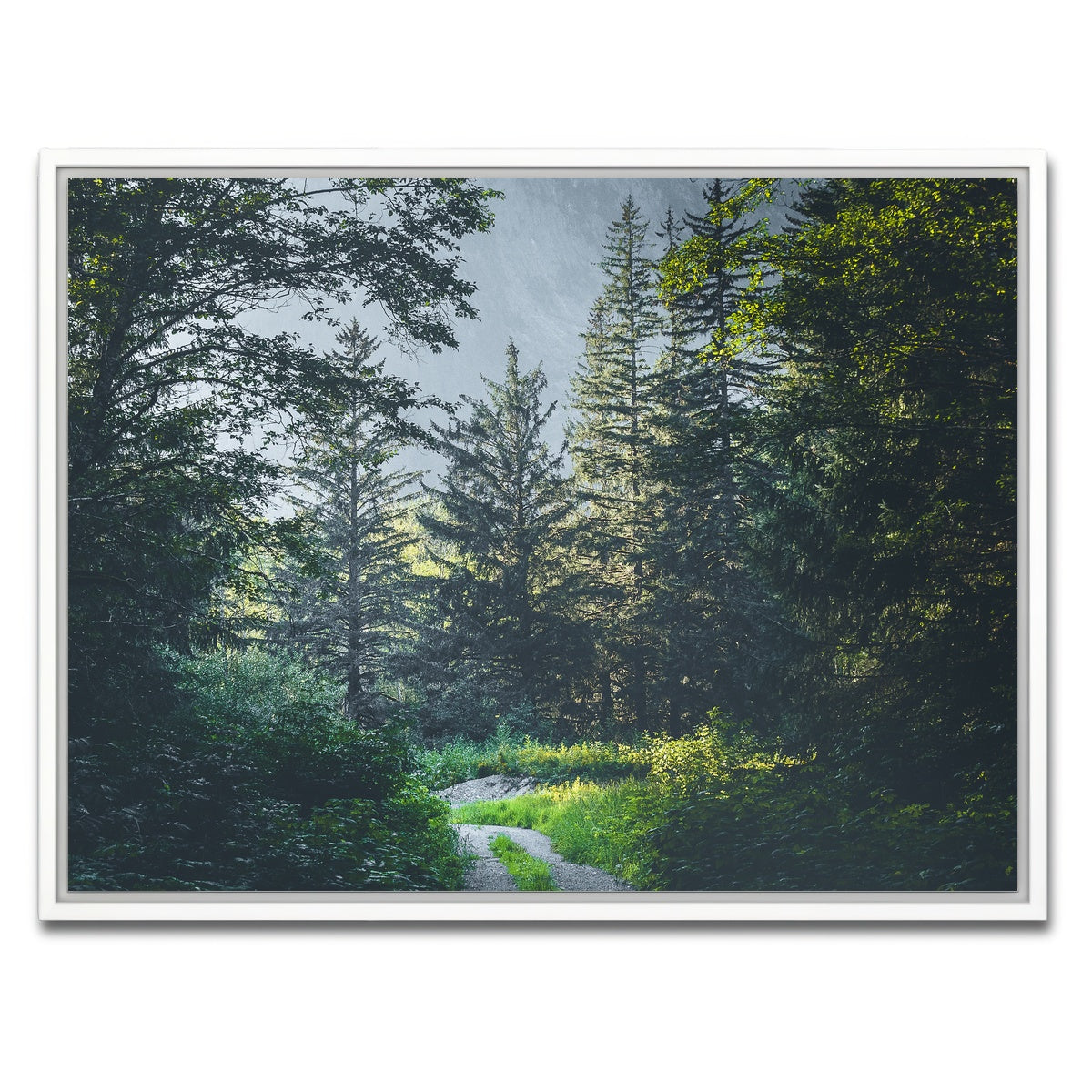 Overgrown Forest Path Wall Art