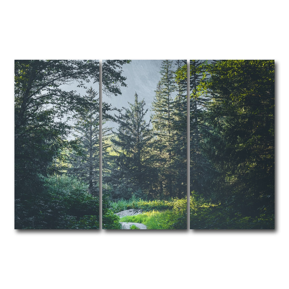 Overgrown Forest Path Wall Art