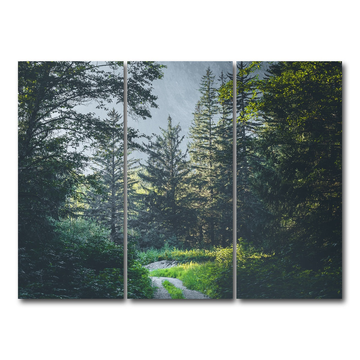 Overgrown Forest Path Wall Art