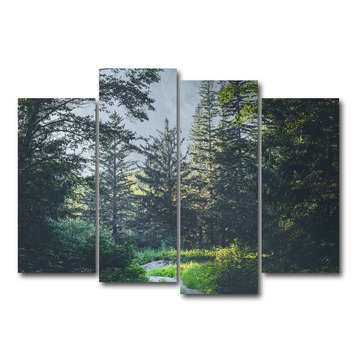 Overgrown Forest Path Wall Art