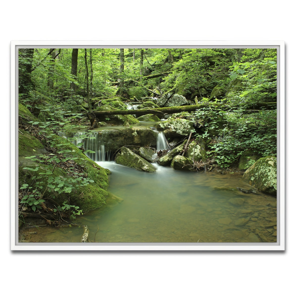 AUTO-MOCKUP WHITE | Ozark National Forest | 1 Piece | White Framed Canvas | group=4x3