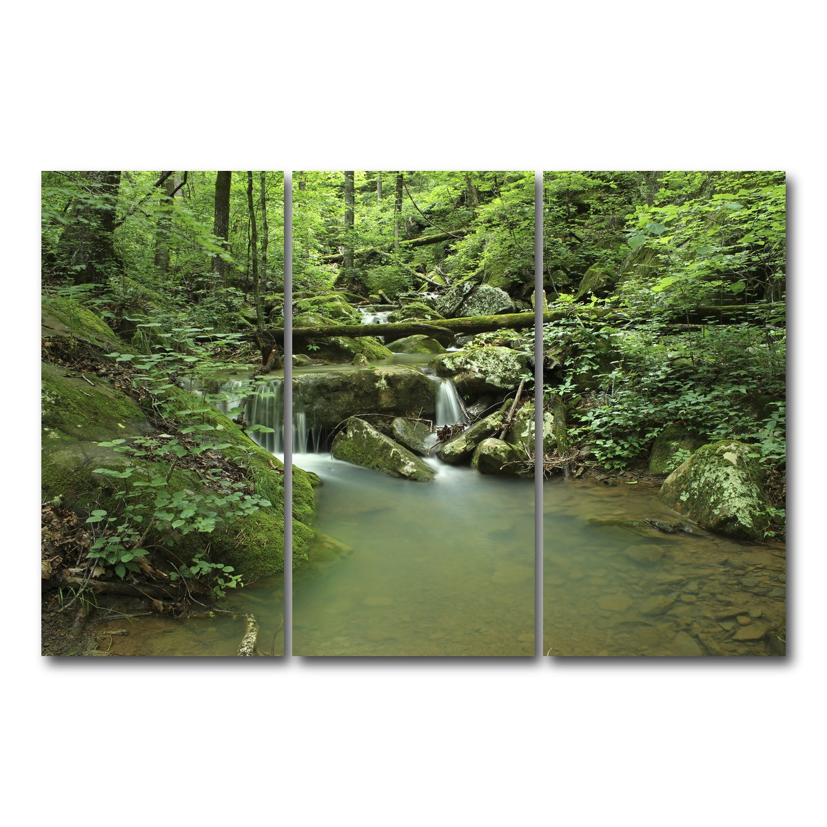 AUTO-MOCKUP WHITE | Ozark National Forest | 3 Piece | Gallery Wrap Canvas | group=12x24
