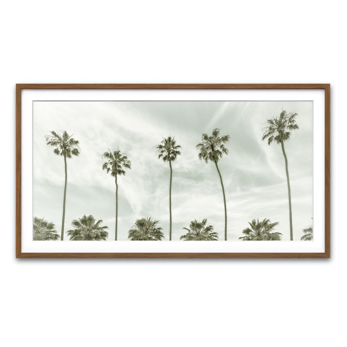Palm Trees and Clouds Wall Art