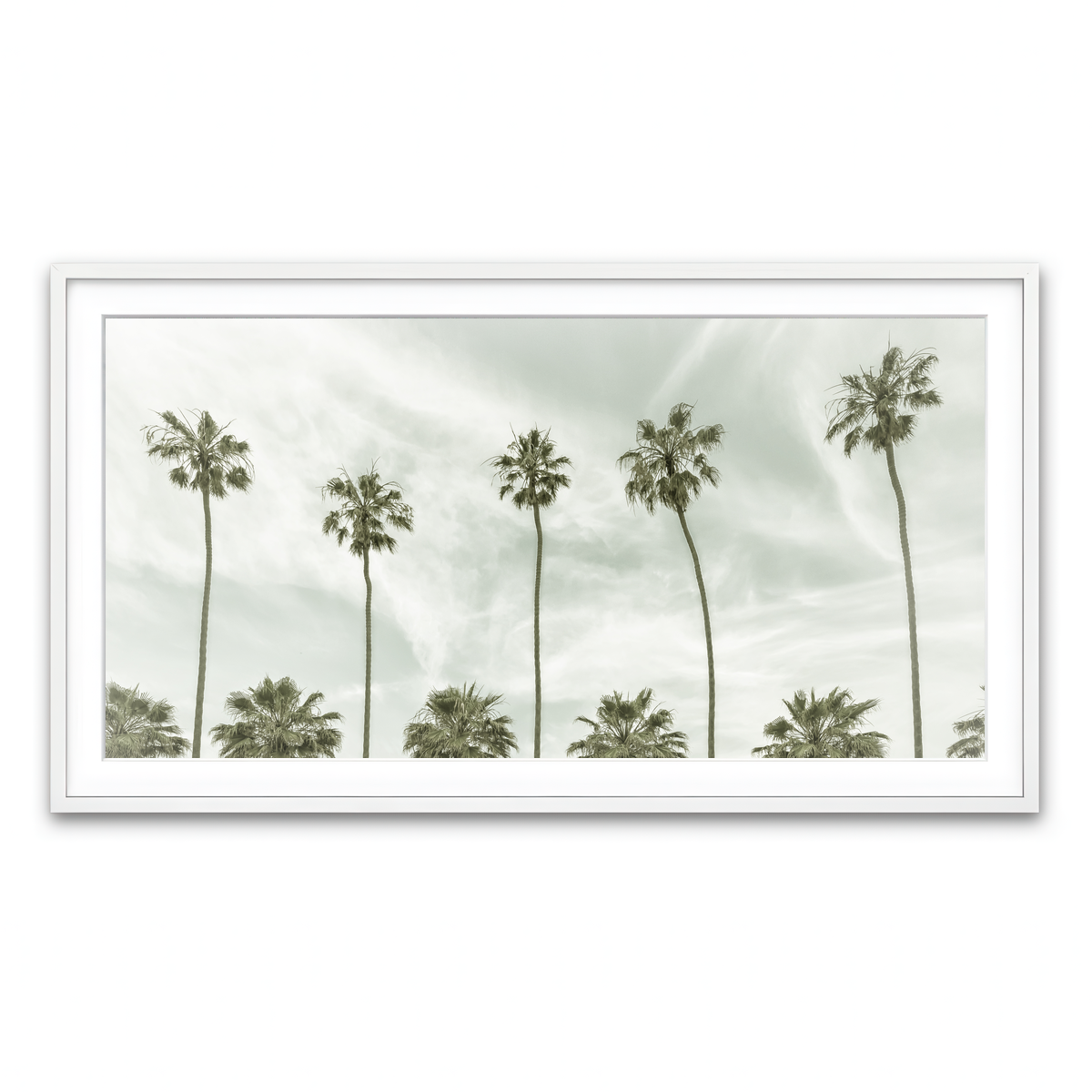 Palm Trees and Clouds Wall Art
