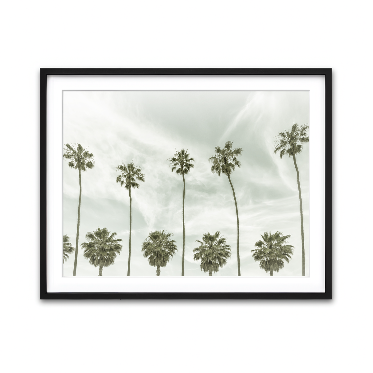 Palm Trees and Clouds Wall Art