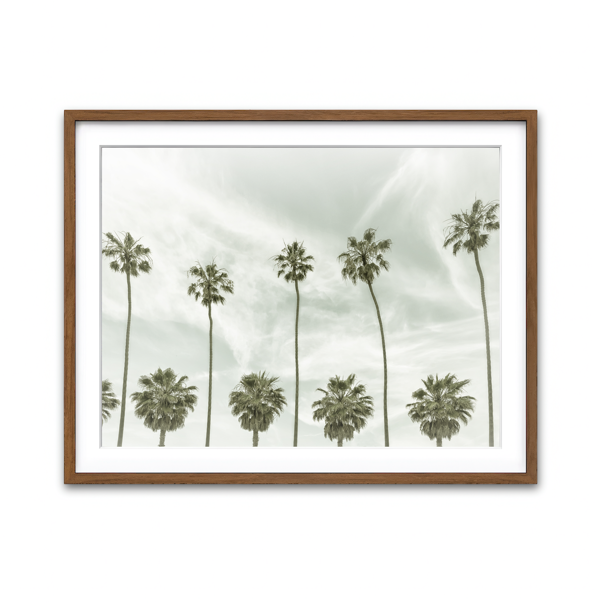 Palm Trees and Clouds Wall Art