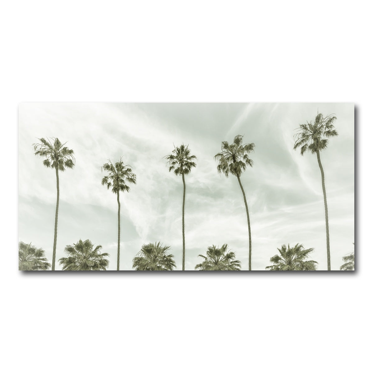 Palm Trees and Clouds Wall Art