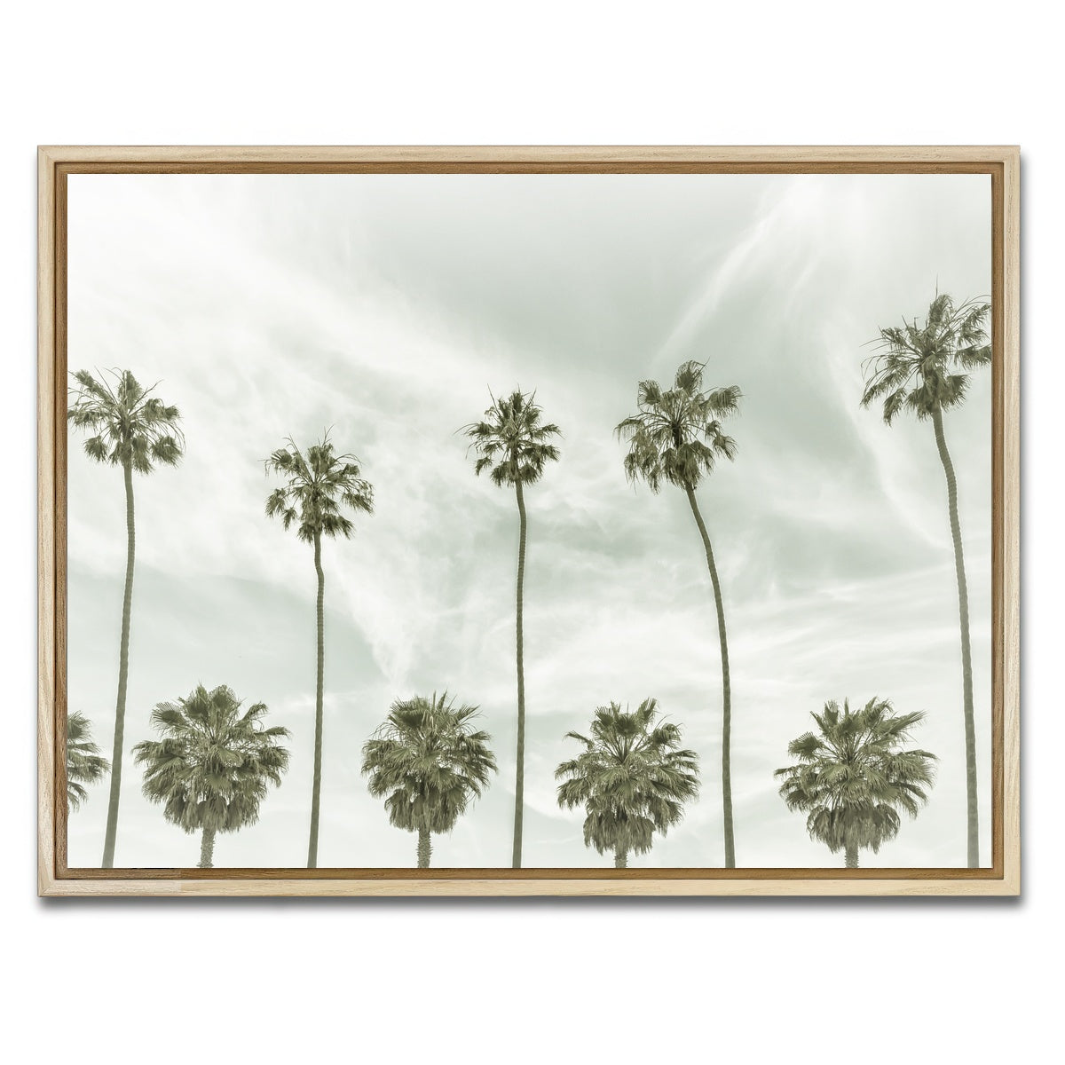 Palm Trees and Clouds Wall Art