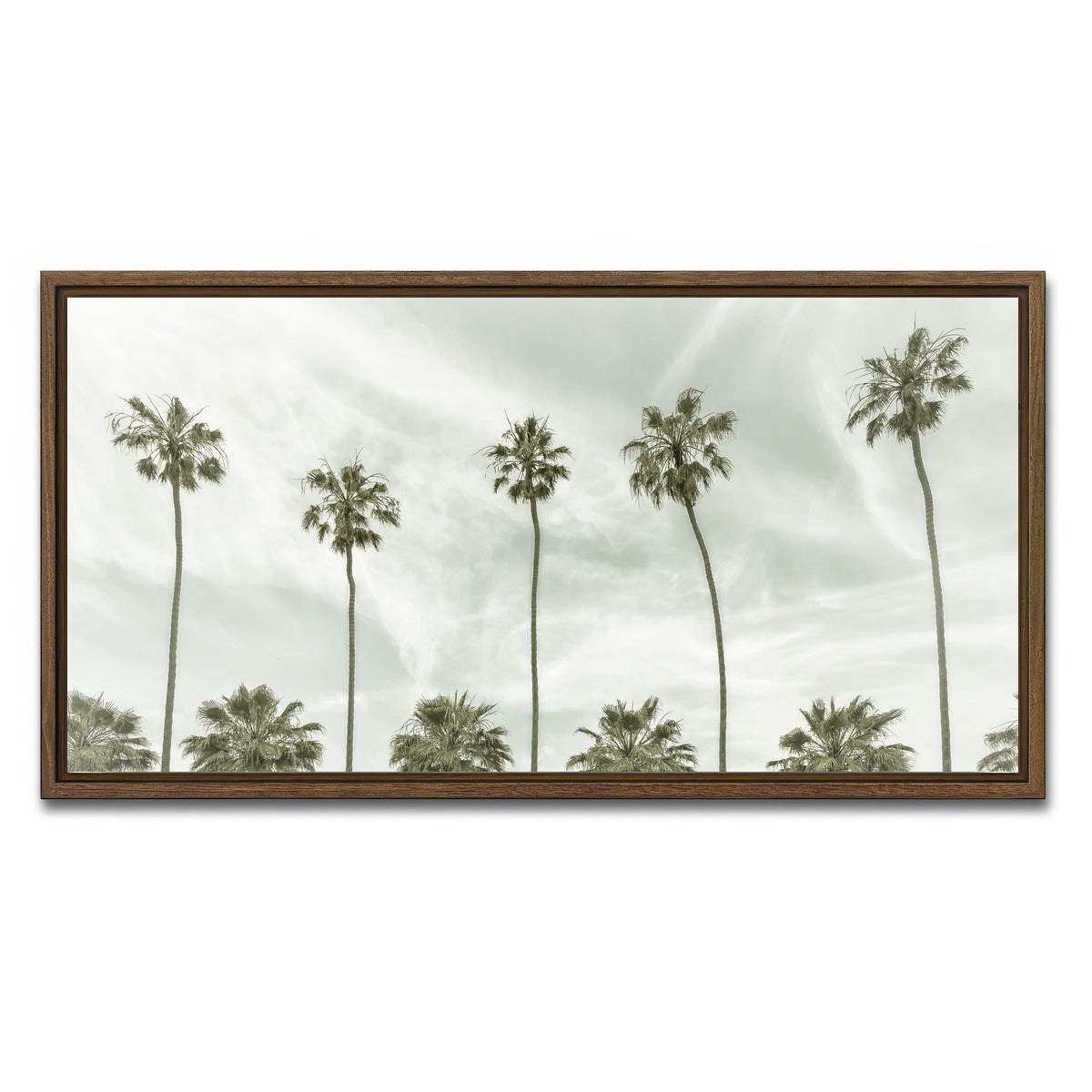Palm Trees and Clouds Wall Art