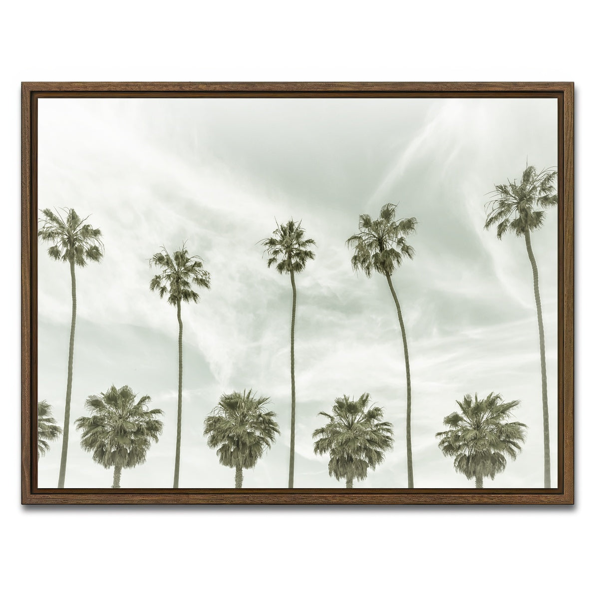 Palm Trees and Clouds Wall Art