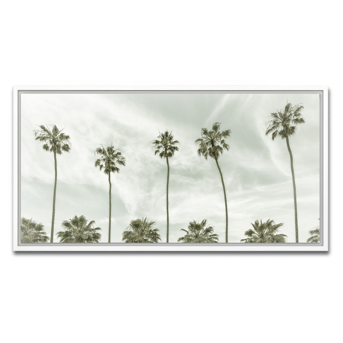 Palm Trees and Clouds Wall Art