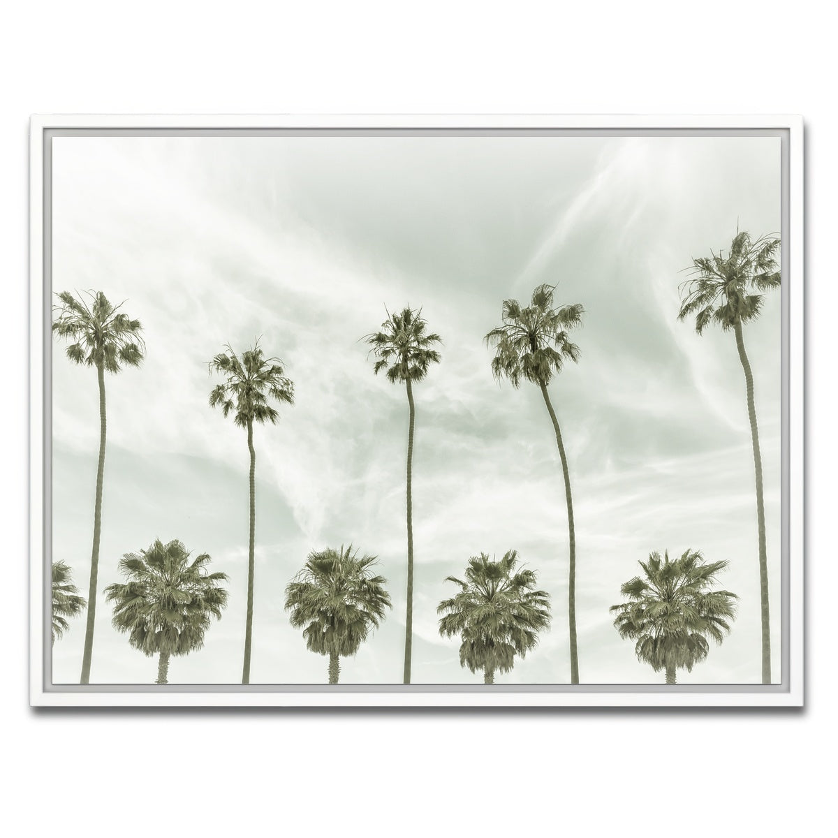 Palm Trees and Clouds Wall Art