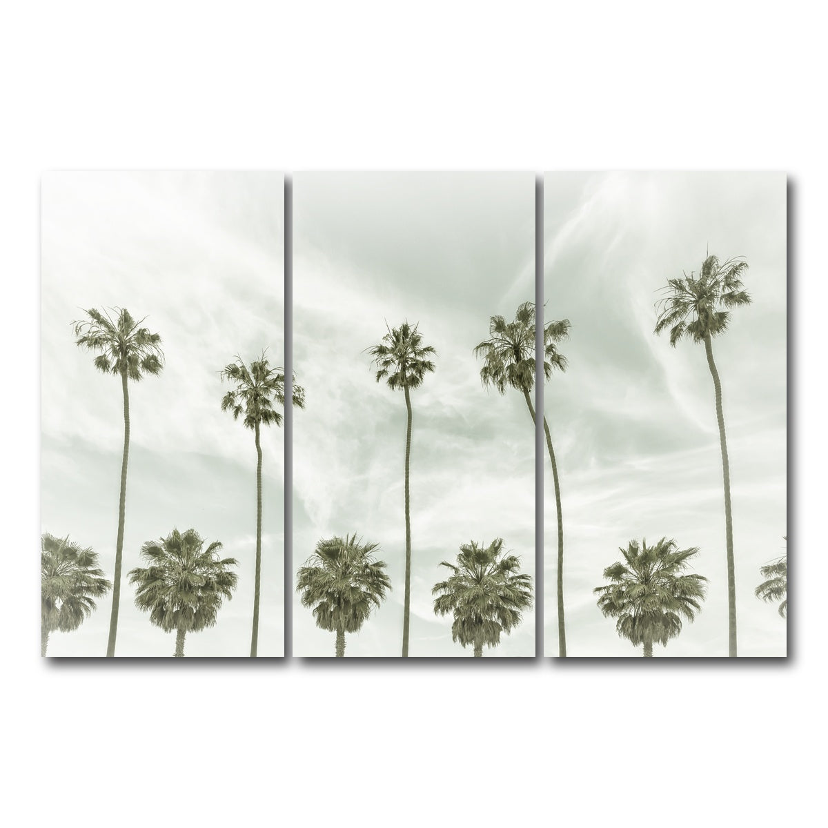 Palm Trees and Clouds Wall Art