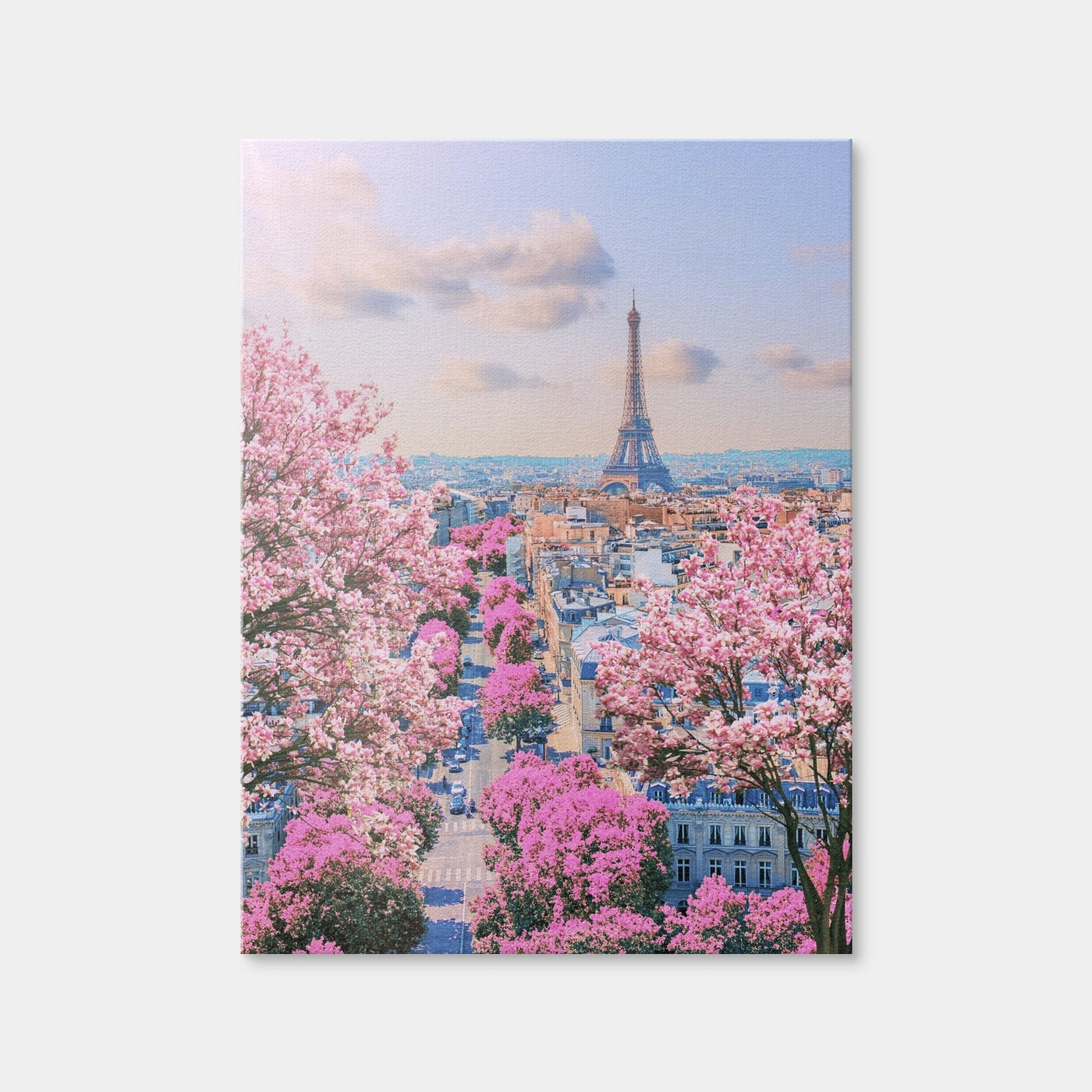 AUTO-MOCKUP WHITE | Paris Sakura | 1 Piece | Gallery Wrap Canvas | group=3x4