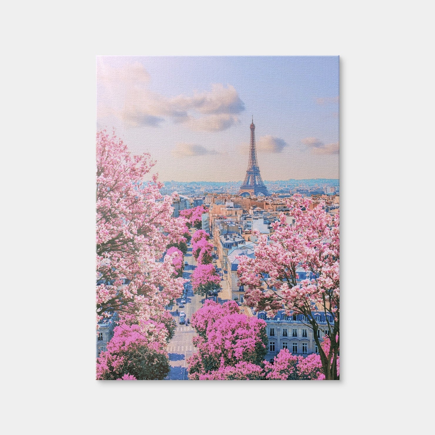 AUTO-MOCKUP WHITE | Paris Sakura | 1 Piece | Gallery Wrap Canvas | group=3x4