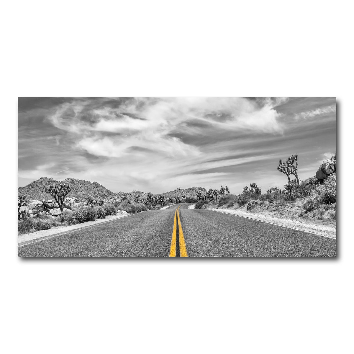 AUTO-MOCKUP WHITE | Park Boulevard with Joshua Trees | 1 Piece | Gallery Wrap Canvas | group=2x1