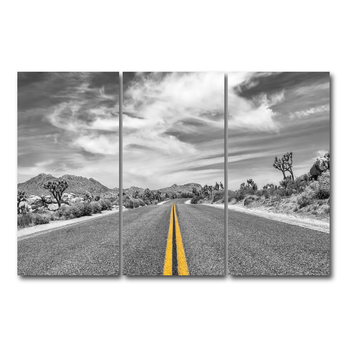 AUTO-MOCKUP WHITE | Park Boulevard with Joshua Trees | 3 Piece | Gallery Wrap Canvas | group=12x24