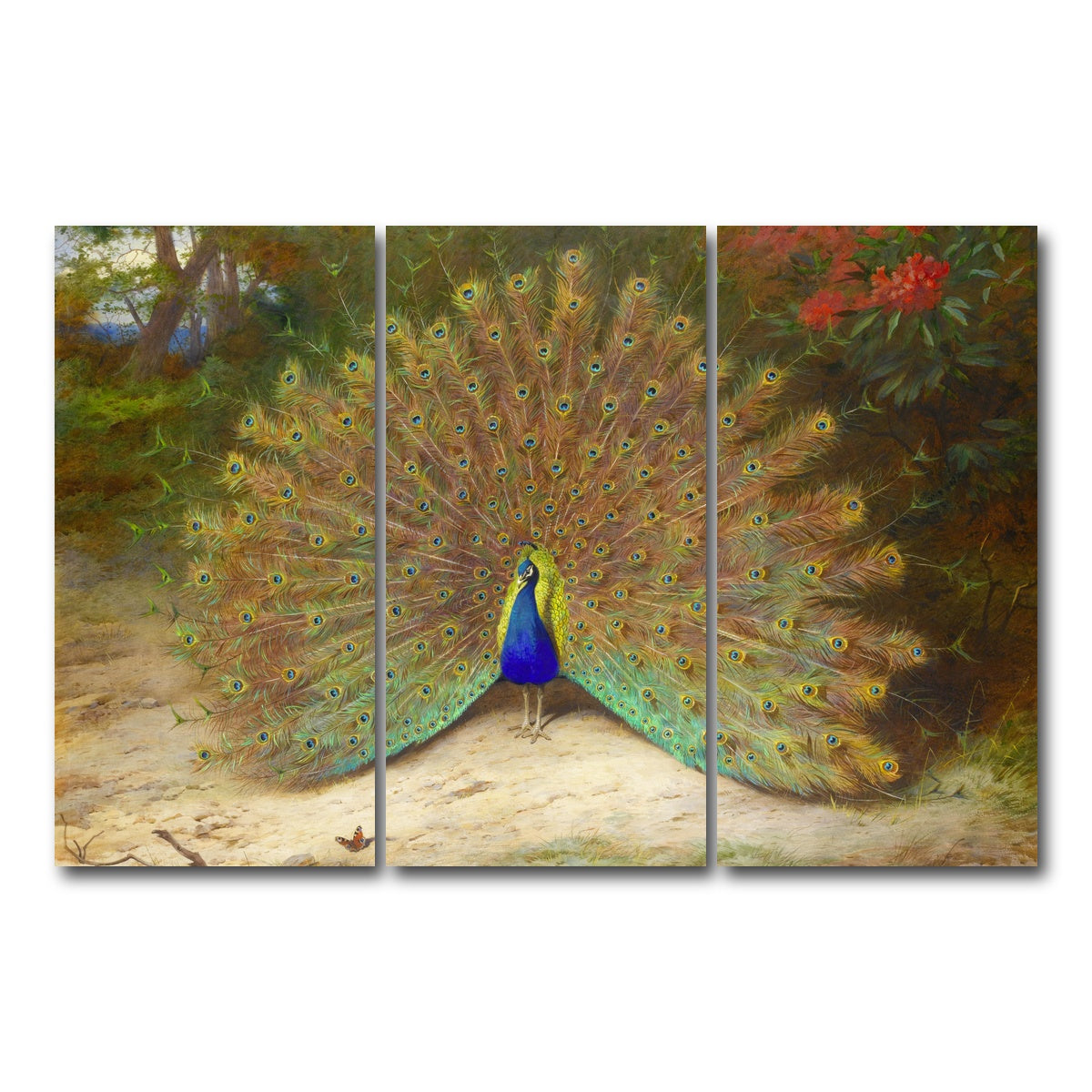 AUTO-MOCKUP WHITE | Peacock and Butterfly | 3 Piece | Gallery Wrap Canvas | group=12x24