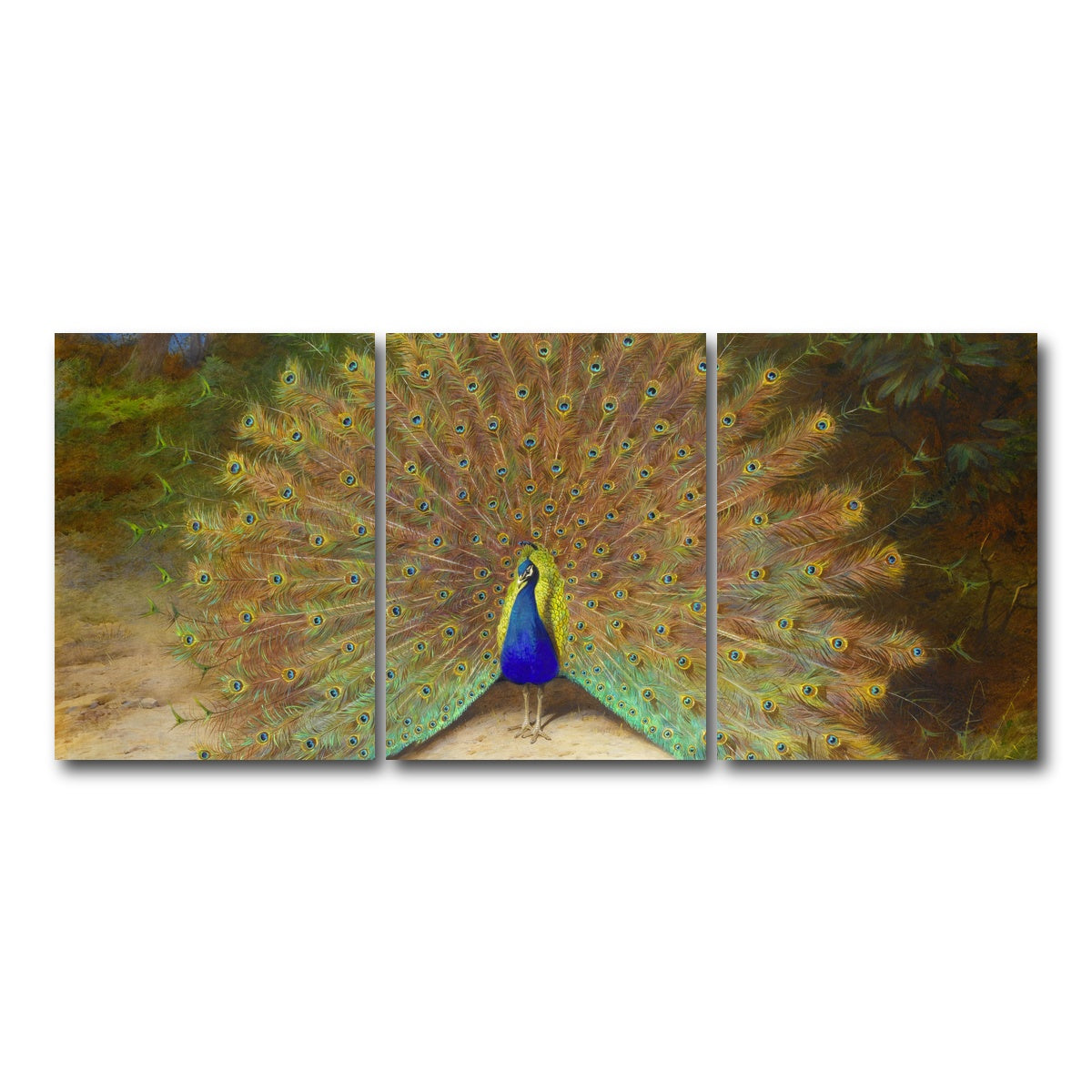 AUTO-MOCKUP WHITE | Peacock and Butterfly | 3 Piece | Gallery Wrap Canvas | group=18x24
